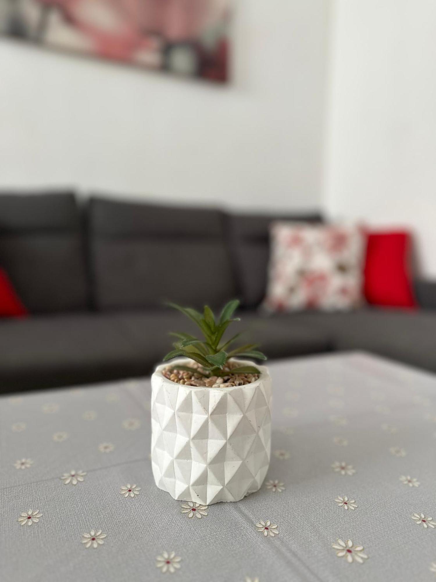 Modern And Bright 5 Bedroom Apartment Del Prado Gandia Zewnętrze zdjęcie